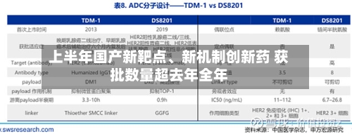上半年国产新靶点、新机制创新药 获批数量超去年全年