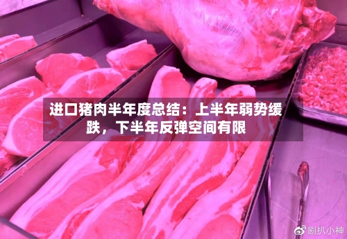 进口猪肉半年度总结：上半年弱势缓跌，下半年反弹空间有限-第3张图片