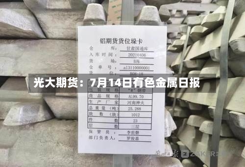 光大期货：7月14日有色金属日报-第3张图片