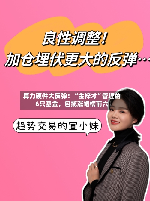 算力硬件大反弹！“金梓才	”管理的6只基金，包揽涨幅榜前六-第2张图片