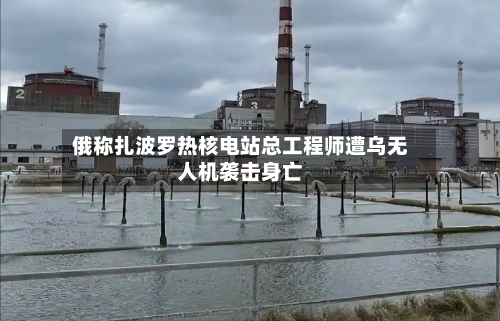 俄称扎波罗热核电站总工程师遭乌无人机袭击身亡-第3张图片