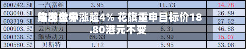 建发世界
集团盘中涨超4% 花旗重申目标价18.80港元不变-第3张图片