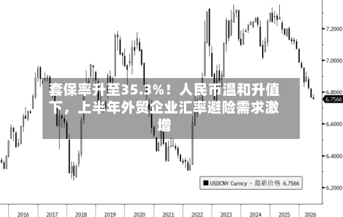 套保率升至35.3%！人民币温和升值下	，上半年外贸企业汇率避险需求激增-第3张图片