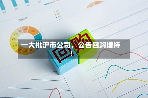 一大批沪市公司	，公告回购增持！-第3张图片