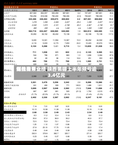 煤焦费用倒挂拖累业绩 陕西黑猫上半年预亏逾3.4亿元-第2张图片