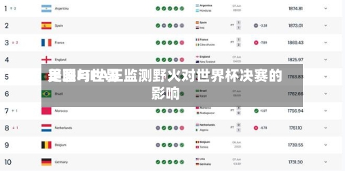 美国与世界足联FIFA正监测野火对世界杯决赛的影响