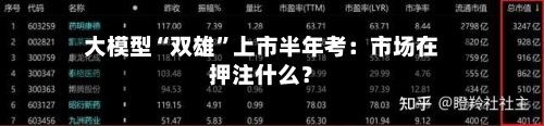 大模型“双雄	”上市半年考：市场在押注什么？-第3张图片