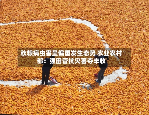 秋粮病虫害呈偏重发生态势 农业农村部:强田管抗灾害夺丰收-第2张图片