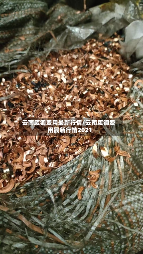 云南废铜费用最新行情/云南废铜费用最新行情2021