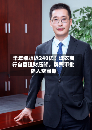 半年缩水近240亿！城农商行自营理财压降，牌照审批陷入空窗期-第2张图片