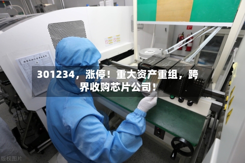 301234	，涨停！重大资产重组，跨界收购芯片公司！-第2张图片