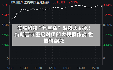 美股科技“七巨头” 深夜大跳水!特朗普或重启对伊朗大规模作战 世界
油价飙涨