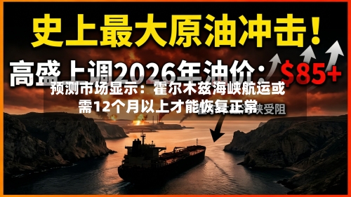 预测市场显示：霍尔木兹海峡航运或需12个月以上才能恢复正常-第3张图片