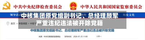 中核集团原党组副书记	、总经理顾军严重违纪违法被开除党籍-第3张图片