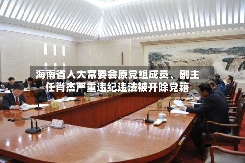 海南省人大常委会原党组成员、副主任肖杰严重违纪违法被开除党籍-第2张图片