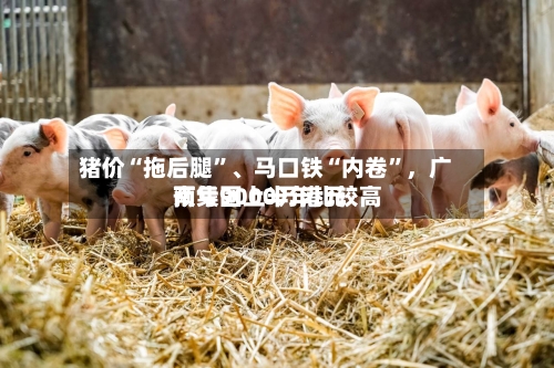 猪价“拖后腿	”、马口铁“内卷”，广南集团上半年比较高预亏9000万港元-第3张图片