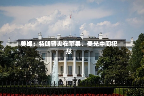 美媒：特朗普夹在苹果、美光中间犯愁-第2张图片