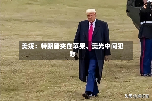 美媒：特朗普夹在苹果	、美光中间犯愁-第3张图片