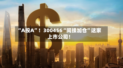 “A投A	”！300456“间接加仓”这家上市公司！-第2张图片