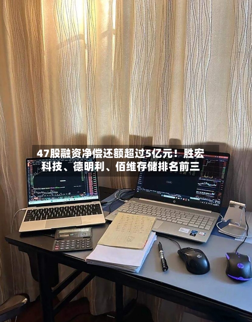47股融资净偿还额超过5亿元！胜宏科技	、德明利、佰维存储排名前三-第2张图片