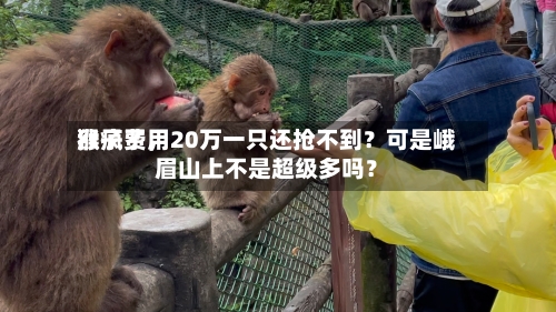 猴子费用涨疯了，20万一只还抢不到？可是峨眉山上不是超级多吗？-第2张图片