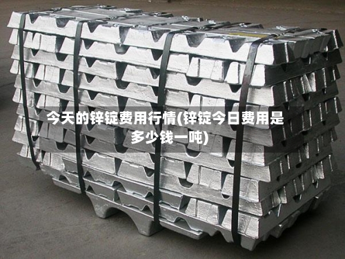 今天的锌锭费用行情(锌锭今日费用是多少钱一吨)-第3张图片