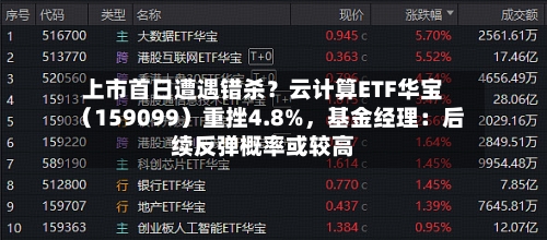 上市首日遭遇错杀？云计算ETF华宝（159099）重挫4.8%	，基金经理：后续反弹概率或较高-第2张图片