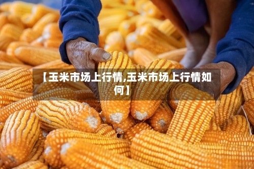 【玉米市场上行情,玉米市场上行情如何】-第3张图片