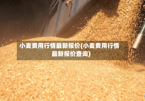 小麦费用行情最新报价(小麦费用行情最新报价查询)-第2张图片