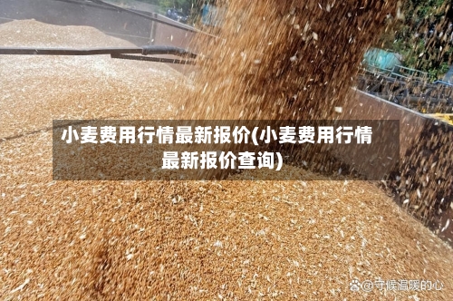 小麦费用行情最新报价(小麦费用行情最新报价查询)-第3张图片