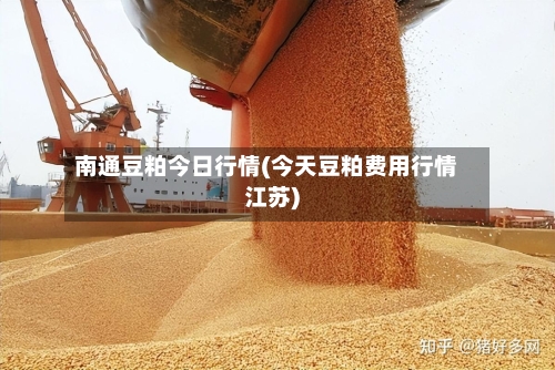 南通豆粕今日行情(今天豆粕费用行情江苏)