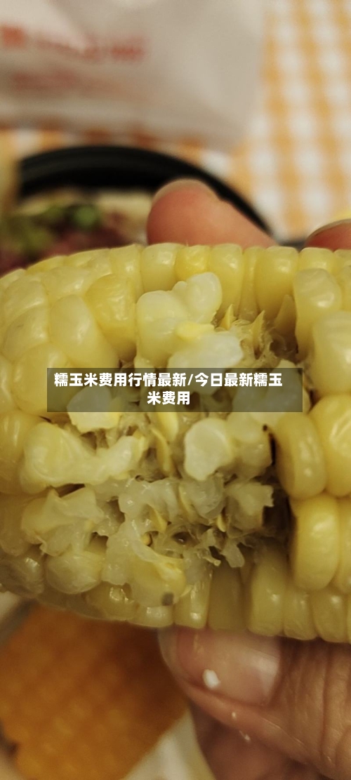 糯玉米费用行情最新/今日最新糯玉米费用