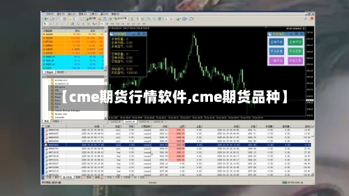 【cme期货行情软件,cme期货品种】