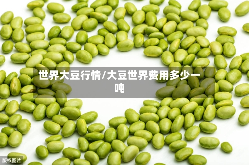 世界大豆行情/大豆世界费用多少一吨-第2张图片