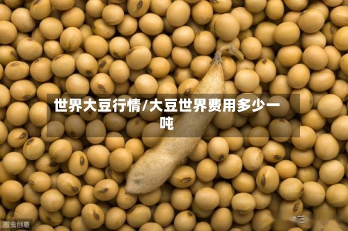 世界大豆行情/大豆世界费用多少一吨