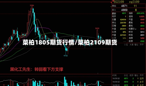 菜柏1805期货行情/菜柏2109期货-第2张图片