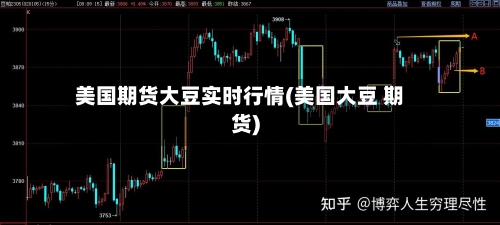 美国期货大豆实时行情(美国大豆 期货)