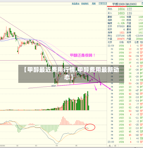 【甲醇最近费用行情,甲醇费用最新动态】