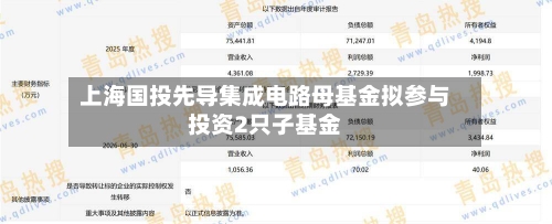 上海国投先导集成电路母基金拟参与投资2只子基金-第2张图片