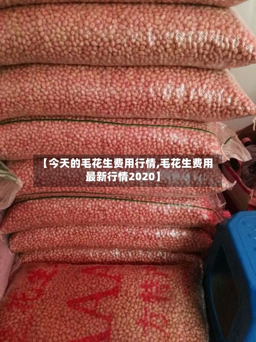 【今天的毛花生费用行情,毛花生费用最新行情2020】