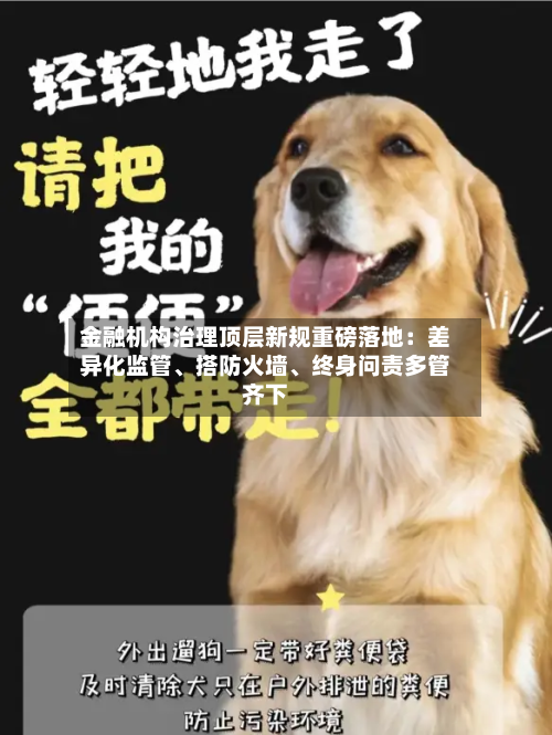 金融机构治理顶层新规重磅落地：差异化监管、搭防火墙	、终身问责多管齐下-第2张图片
