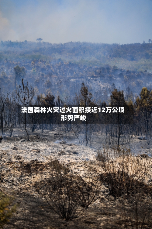 法国森林火灾过火面积接近12万公顷 形势严峻