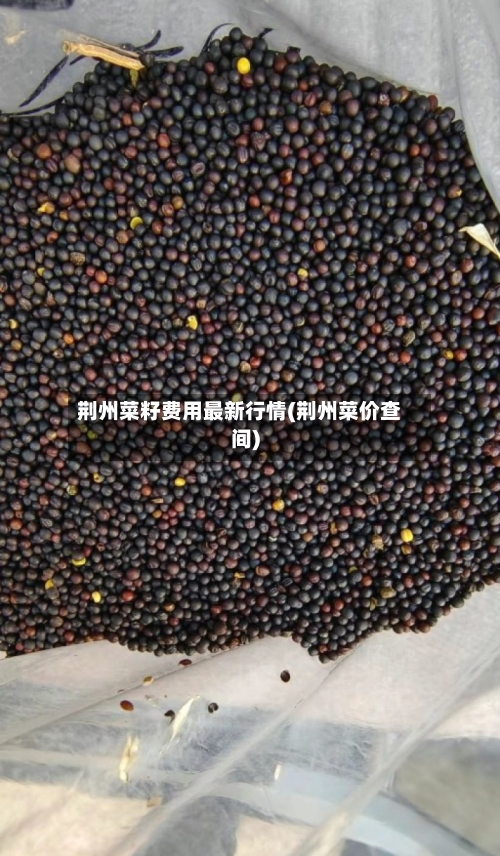荆州菜籽费用最新行情(荆州菜价查间)-第2张图片