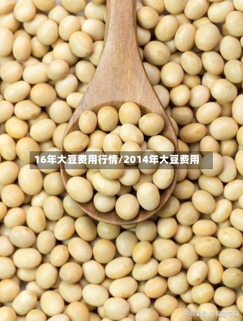 16年大豆费用行情/2014年大豆费用-第3张图片