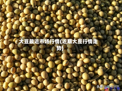 大豆最近市场行情(近期大豆行情走势)-第3张图片