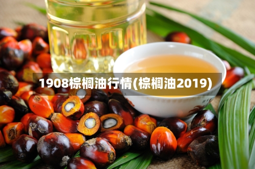 1908棕榈油行情(棕榈油2019)