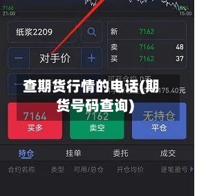 查期货行情的电话(期货号码查询)-第2张图片