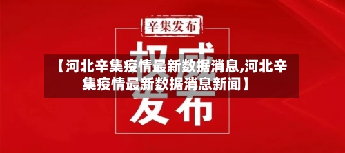 【河北辛集疫情最新数据消息,河北辛集疫情最新数据消息新闻】-第2张图片