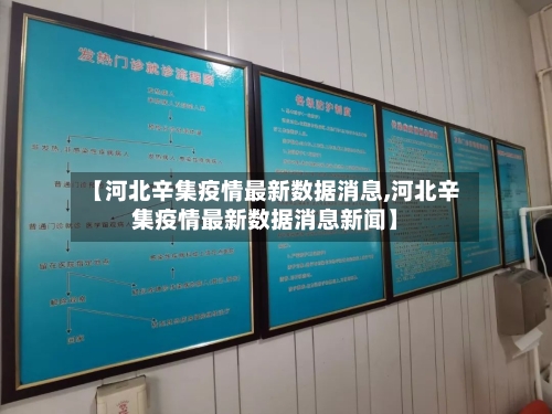 【河北辛集疫情最新数据消息,河北辛集疫情最新数据消息新闻】