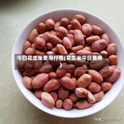今曰花生米费用行情(花生米今日费用)-第2张图片